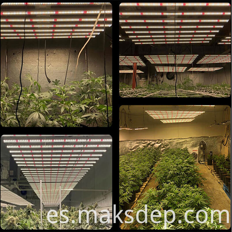 New 2023 Led Grow Light Bar 1000w